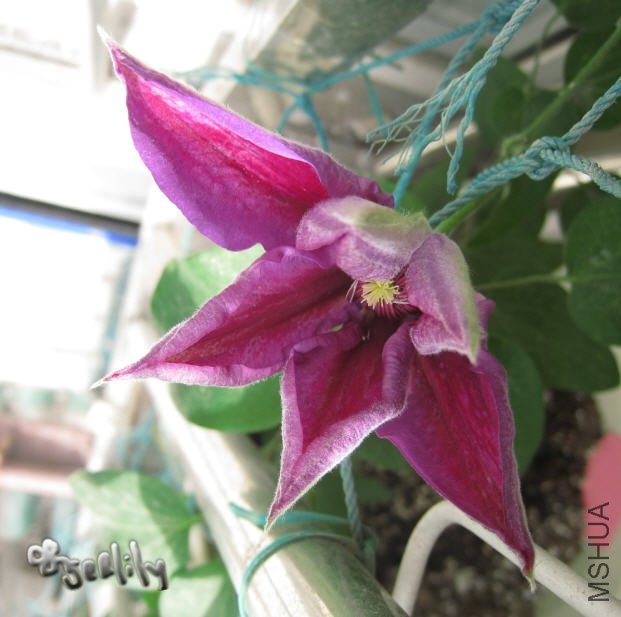 2010-04-27 ������-do.jpg