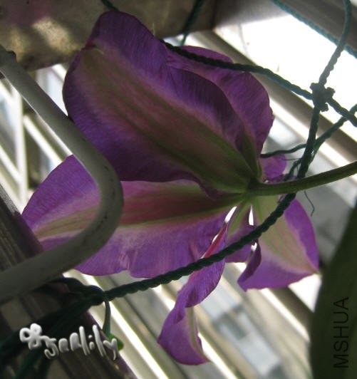 2010-04-28 �����˱�Ӱ-do.jpg