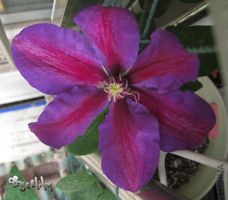 2010-04-28 ������1-do.jpg