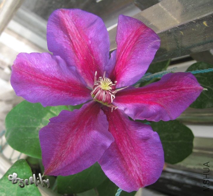 2010-04-28 ������2-do.jpg