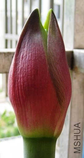 10-04-28 - ����.JPG