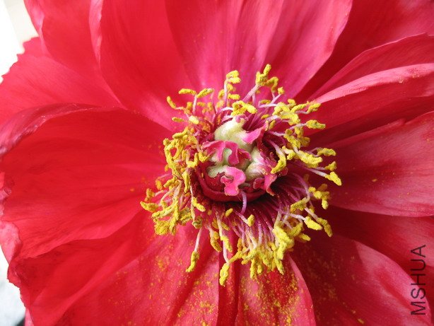 ��Ƭ 056_��С��С.jpg