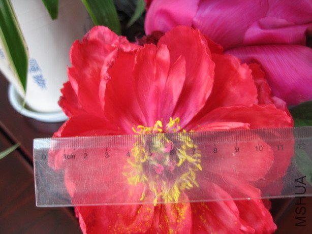 ��Ƭ 059_��С��С.jpg