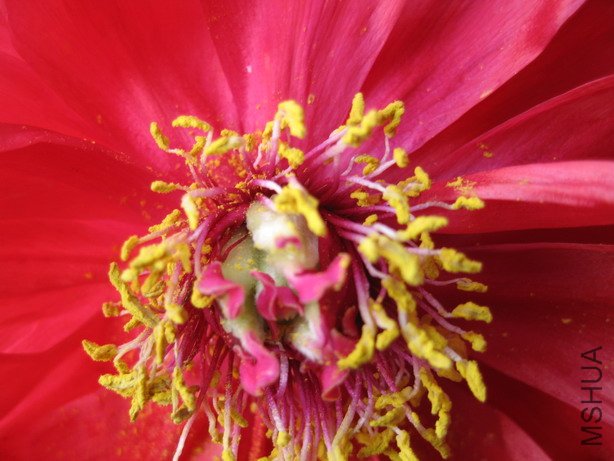 ��Ƭ 057_��С��С.jpg