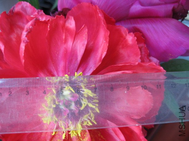 ��Ƭ 058_��С��С.jpg