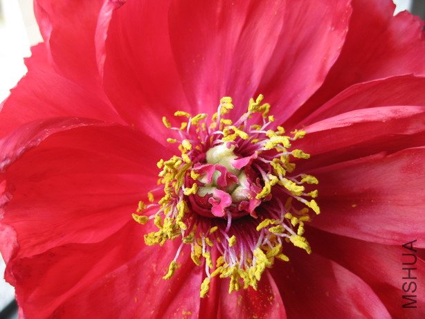 ��Ƭ 055_��С��С.jpg