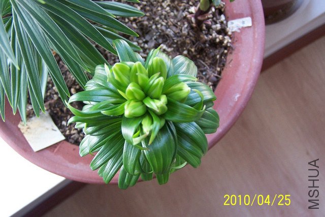100_4943a.jpg