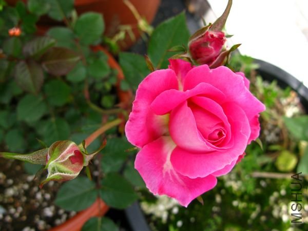 nEO_IMG_IMG_0008.jpg