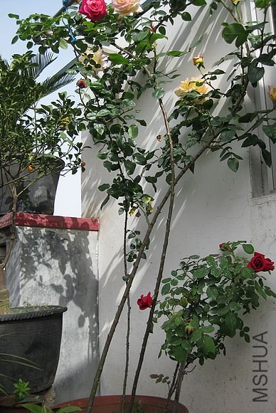 �¼��� 056.jpg