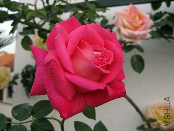 �¼��� 047.jpg