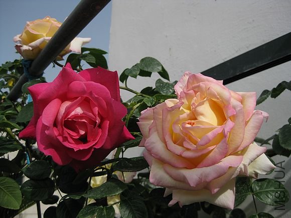 �¼��� 052.jpg