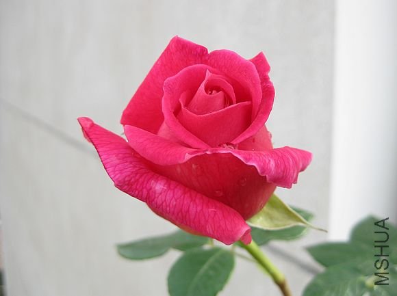 �¼��� 036.jpg