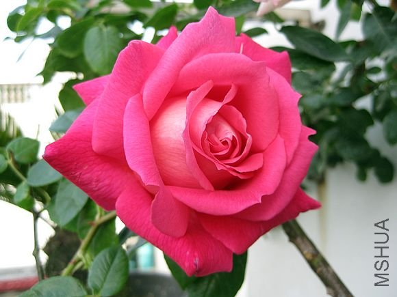 �¼��� 045.jpg