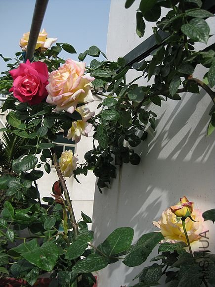 �¼��� 054.jpg