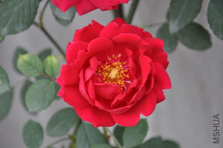 ��Ƭ 054.jpg