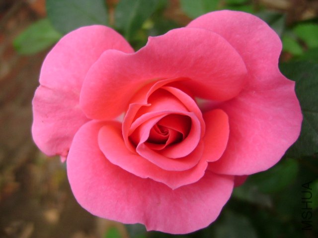 DSC02664.JPG