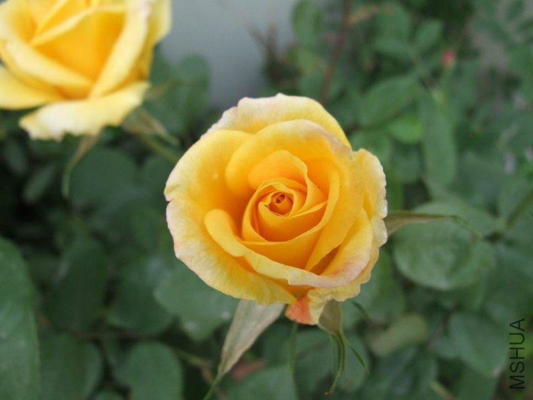 DSCF0781.JPG