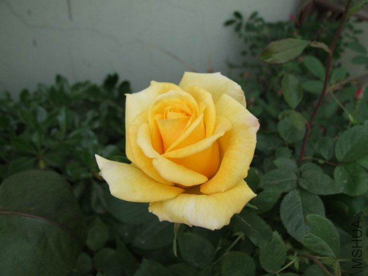 DSCF0780.JPG