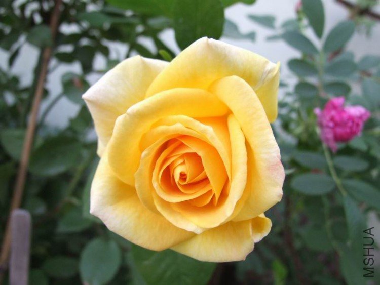 DSCF0791.JPG