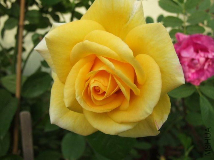 DSCF0804.JPG