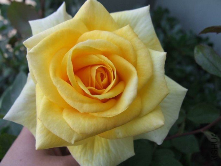 DSCF0792.JPG