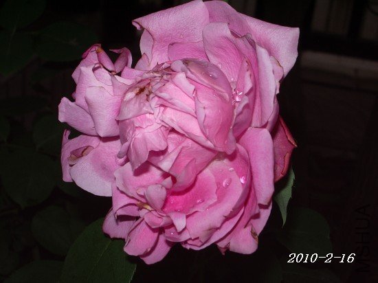IMGP0283m.jpg