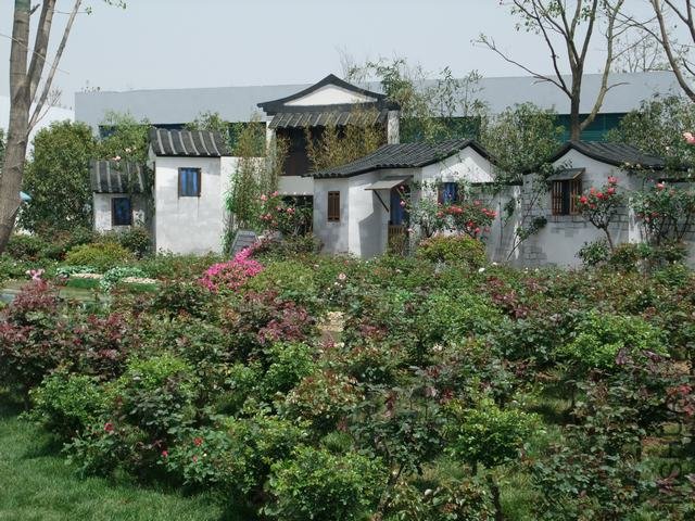 1004280048.jpg