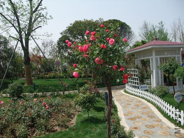 1004280073.jpg