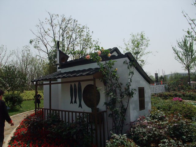 1004280045.jpg