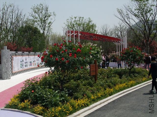 1004280115.jpg