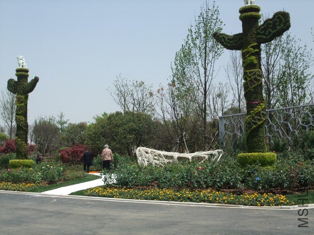 1004280109.jpg
