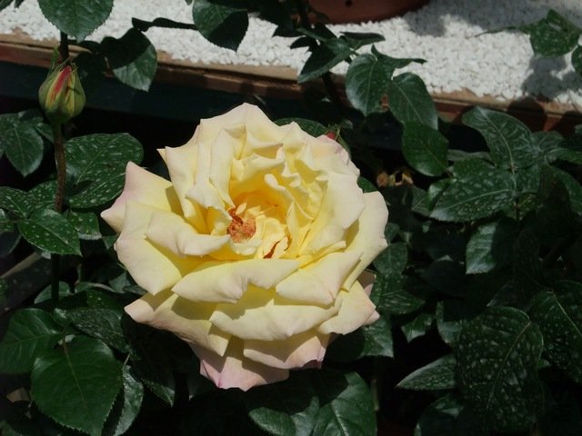 1004280124.jpg