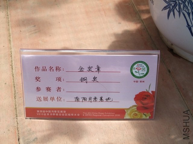 1004280166.jpg