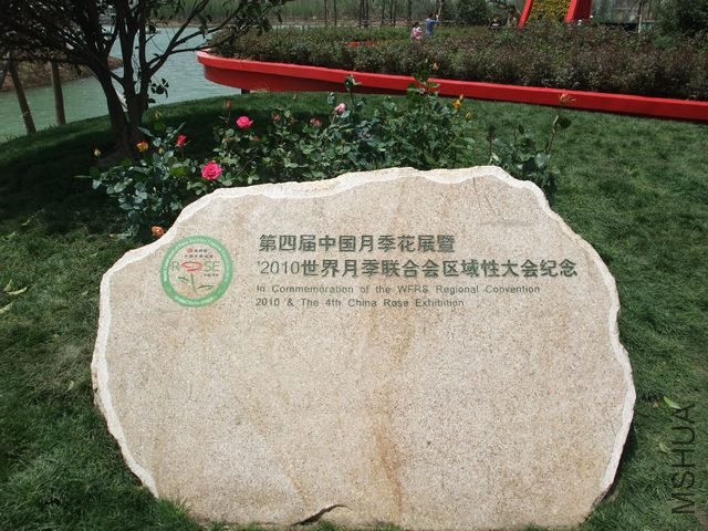 1004280168.jpg