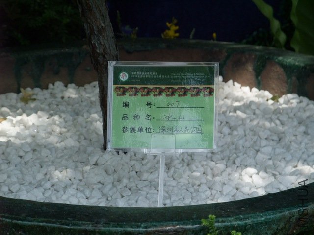 1004280147.jpg