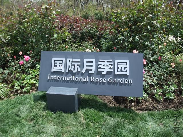 1004280174.jpg