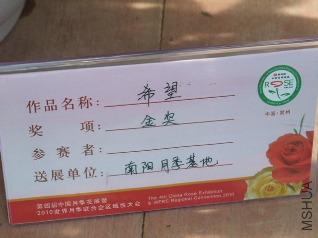 1004280158.jpg