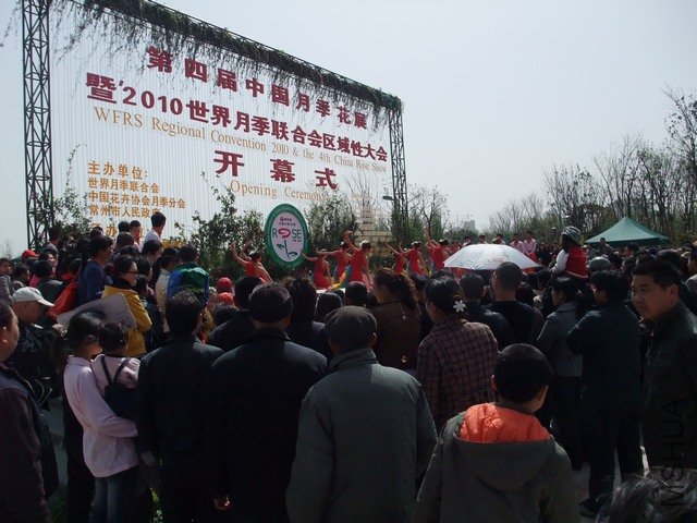 1004280258.jpg