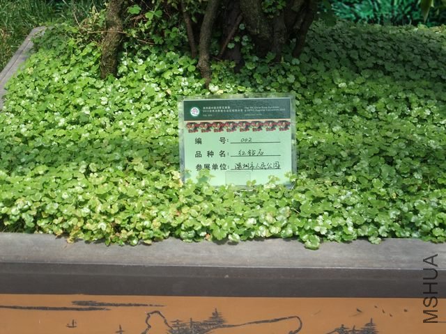 1004280145.jpg