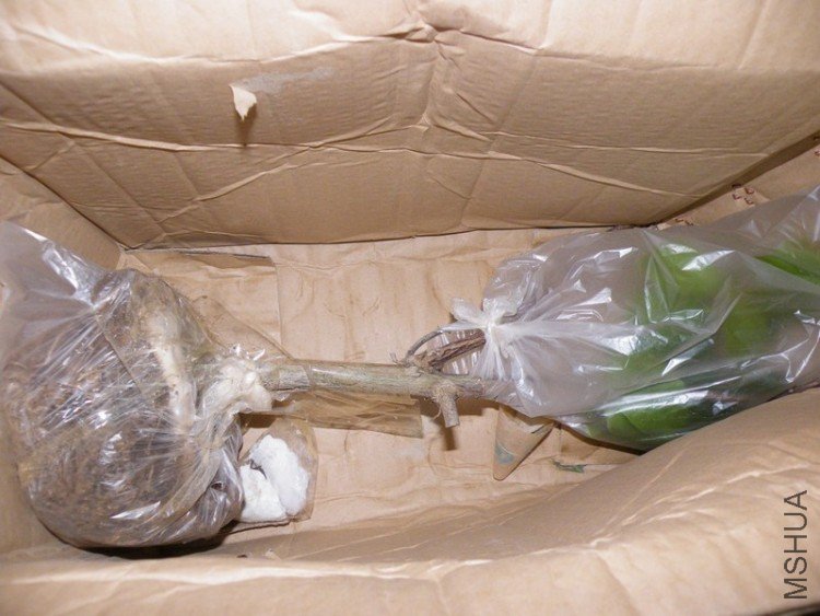 DSCF4384.JPG