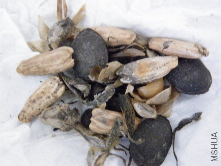 DSCF4389.JPG