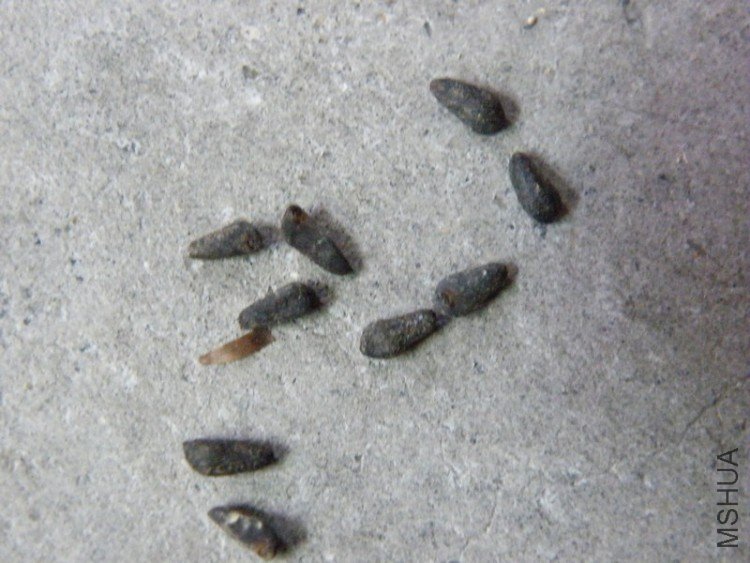 DSCF4391.JPG