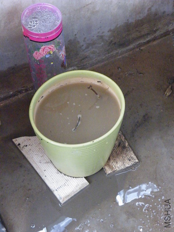 DSCF4412.JPG