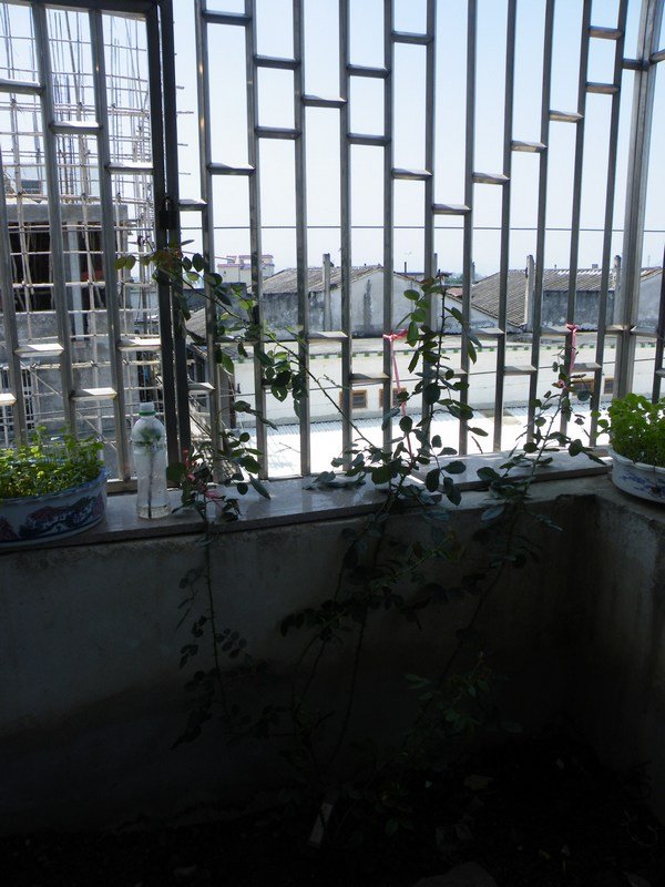 DSCF4415.JPG