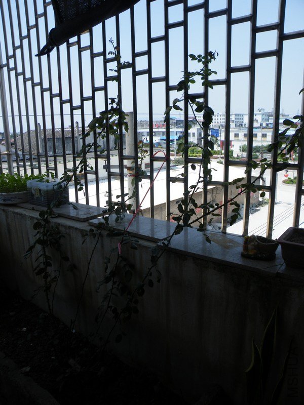 DSCF4414.JPG
