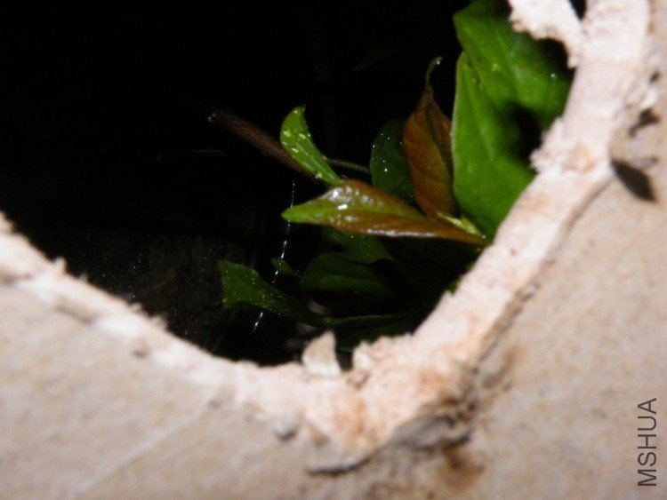 DSCF4407.JPG