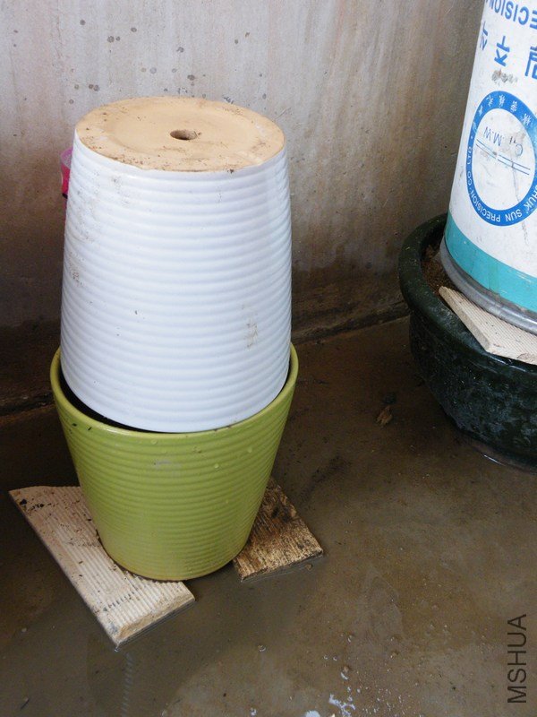 DSCF4413.JPG