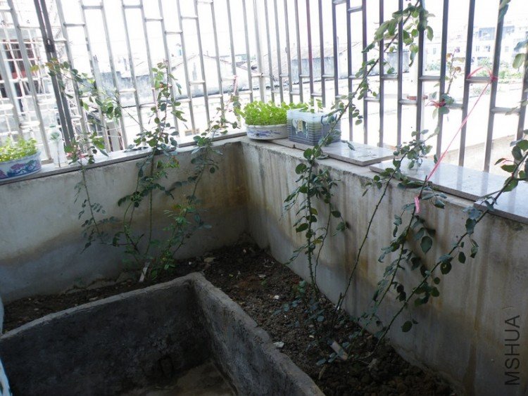 DSCF4416.JPG