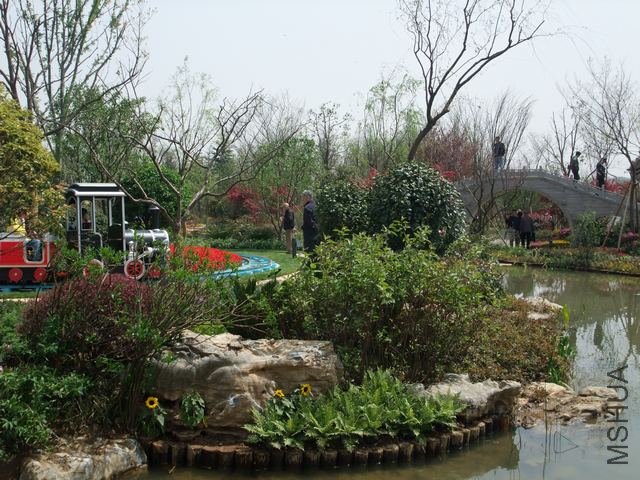 1004280006.jpg