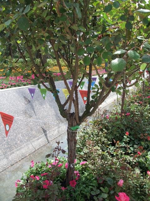 1004280042.jpg